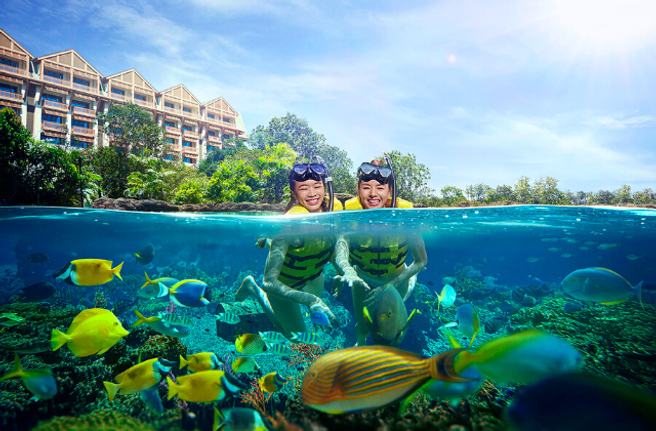 シンガポール アドベンチャー・コーブ・ウォーターパーク 入場チケット