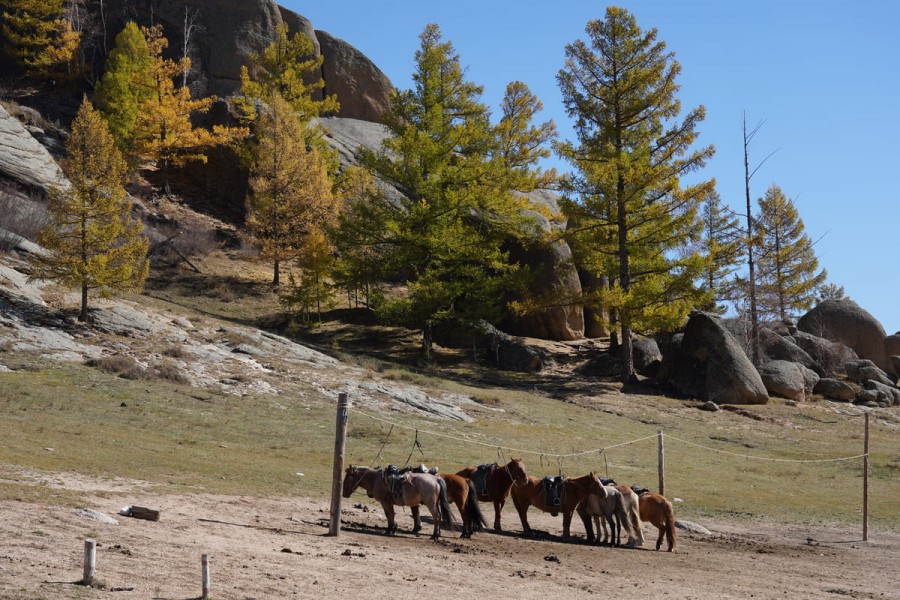 [여나투어] [4박5일] 중앙 몽골 사원+온천 투어