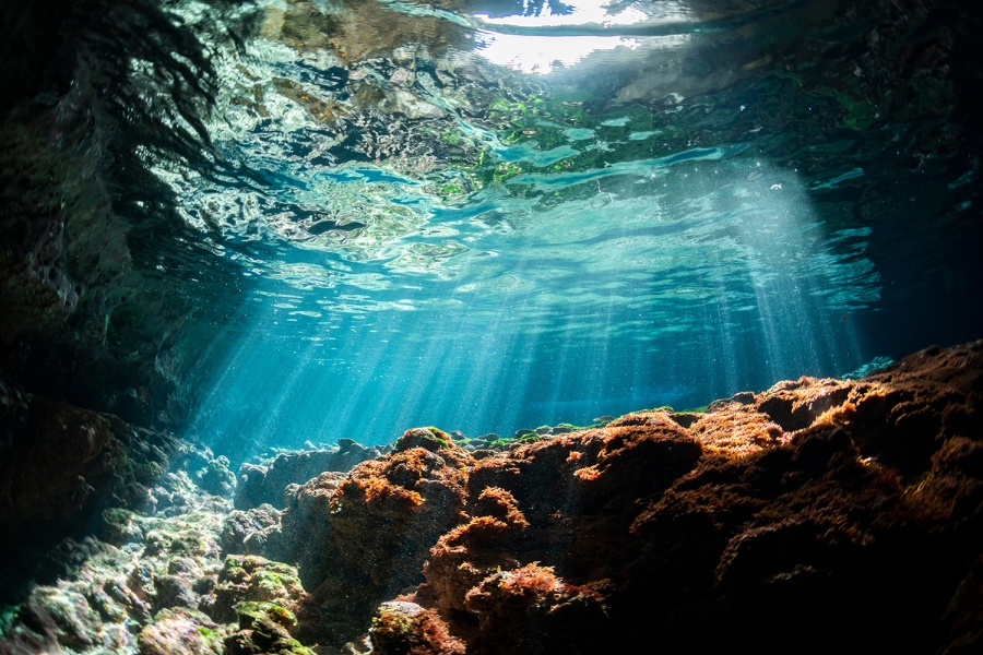 [여행한그릇] 오키나와 푸른동굴 스노클링 투어 (무료 사진, 동영상 촬영)