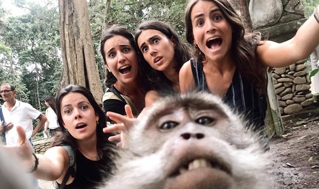 Ubud Monkey Forest, Holy Water Temple & Waterfalls Tour