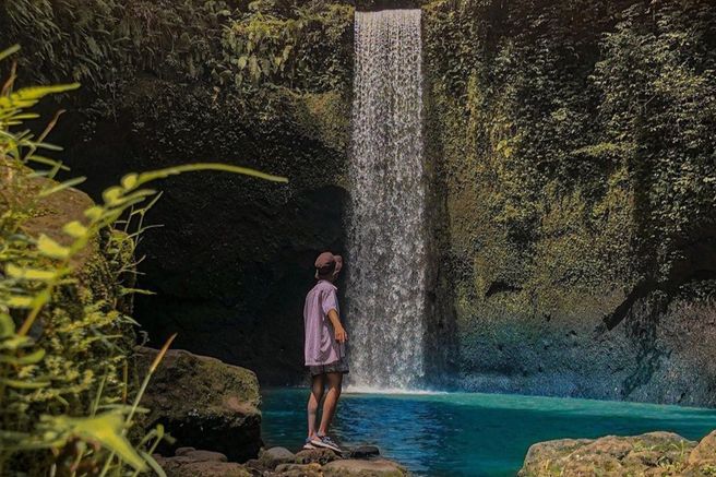 Ubud Monkey Forest, Holy Water Temple & Waterfalls Tour