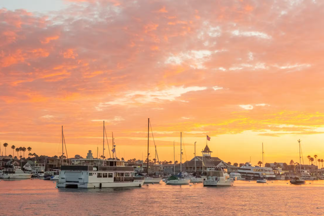 LA 뉴포트 비치 돌고래 크루즈 투어