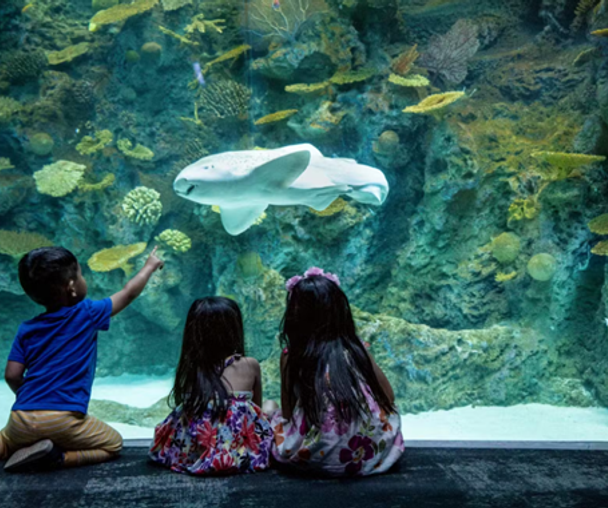 activity_detail_image