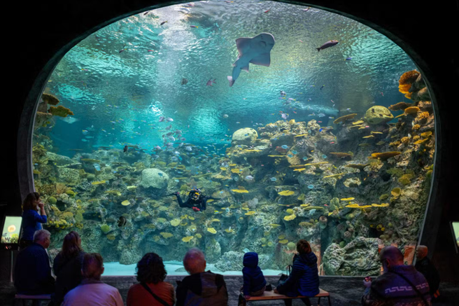 Seattle Aquarium Fast Track Admission Ticket