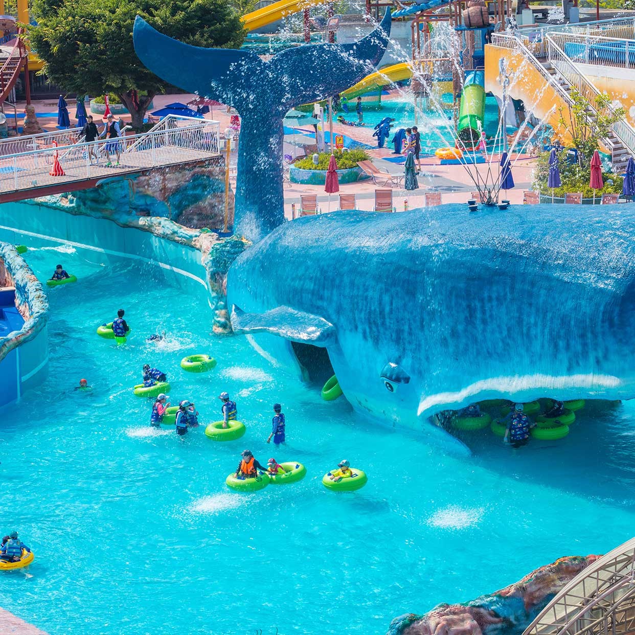 activity_detail_image