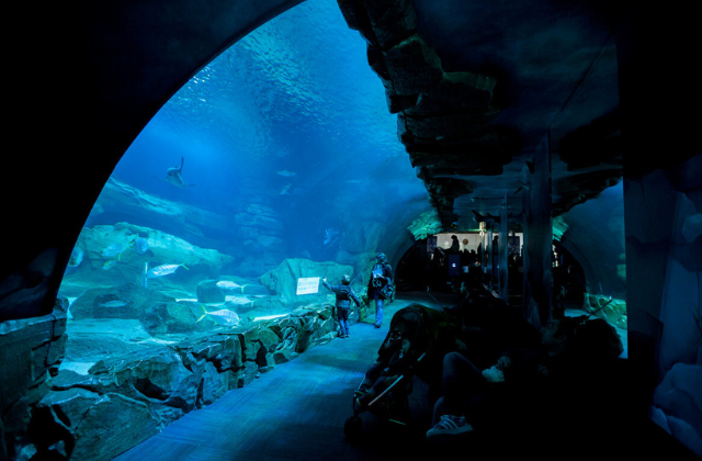 activity_detail_image