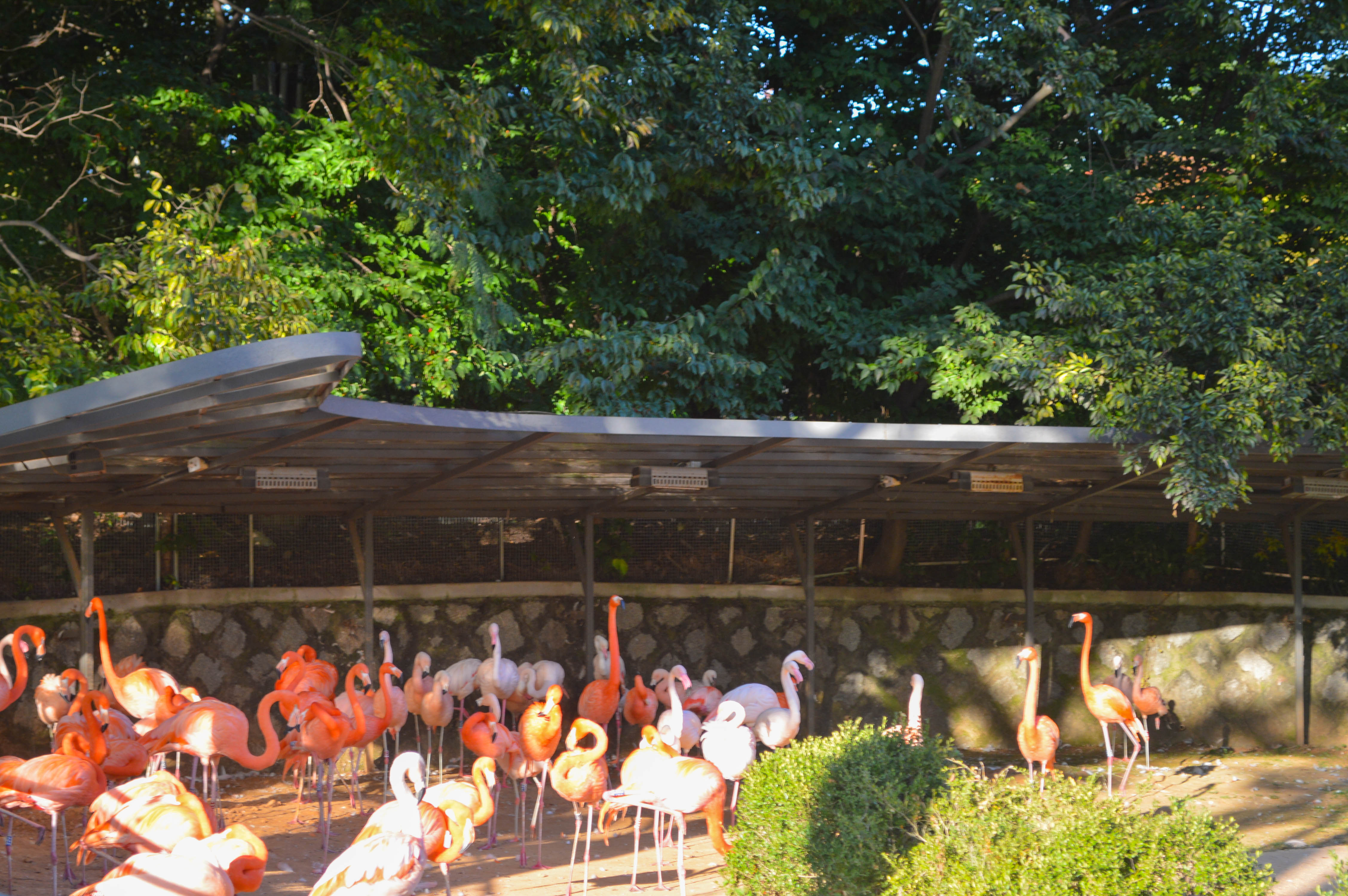 Seoul Grand Park Zoo + Sky Lift Combo Ticket