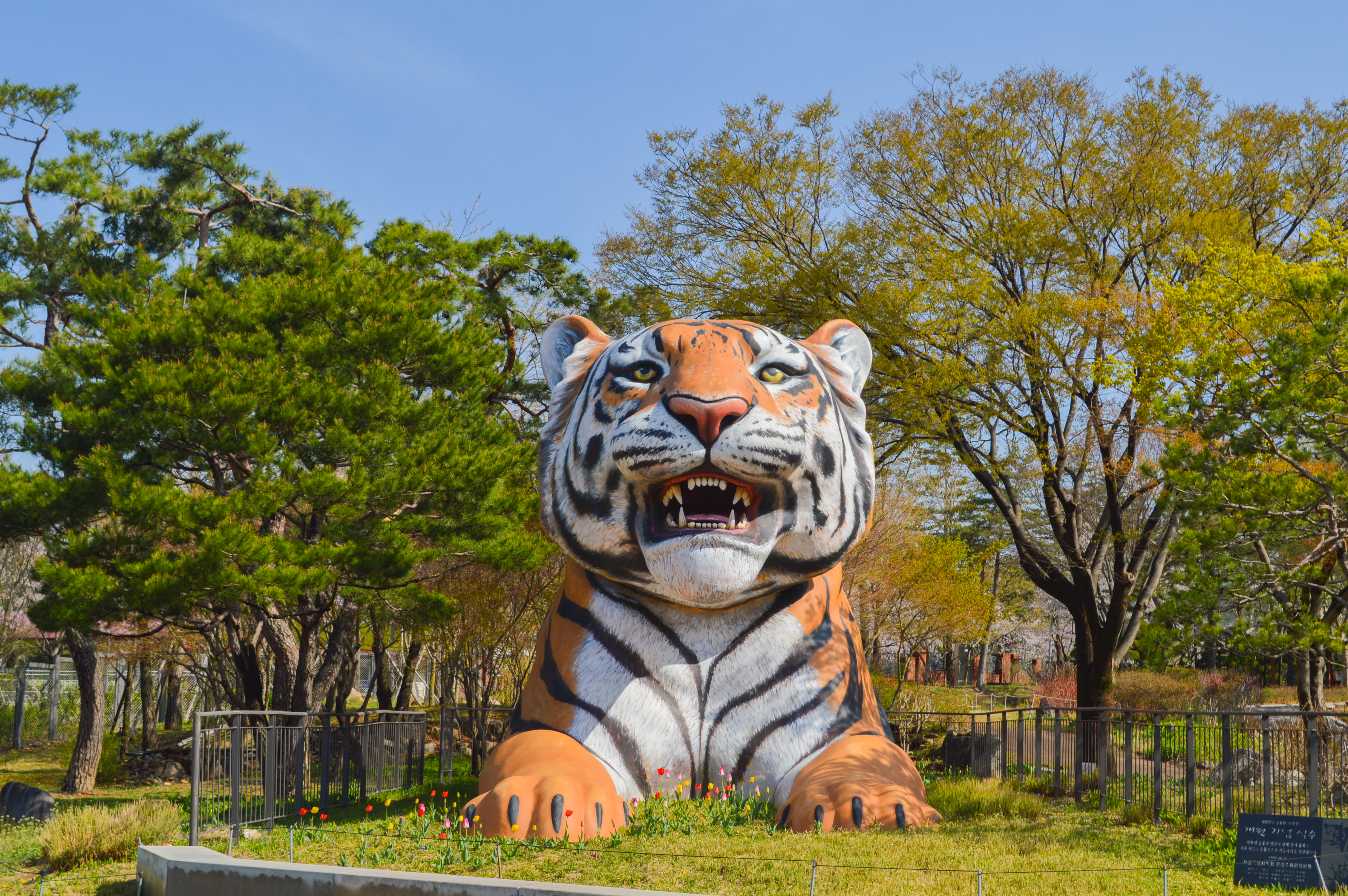 果川・ソウル大公園動物園＋スカイリフト コンボチケット