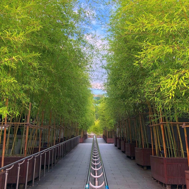 서울 '핫플버스' 뉴트로 투어