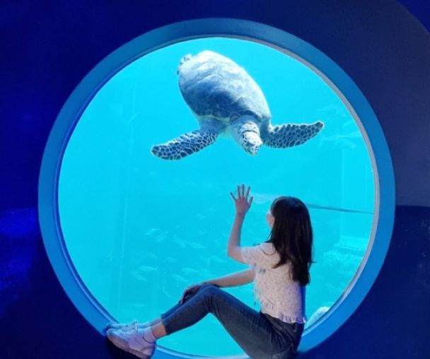 activity_detail_image