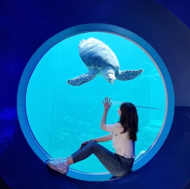 여수 핫플 버스투어