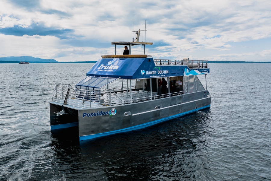 하와이 오아후 돌고래 투어 - 해양 액티비티 & 스노클링 체험