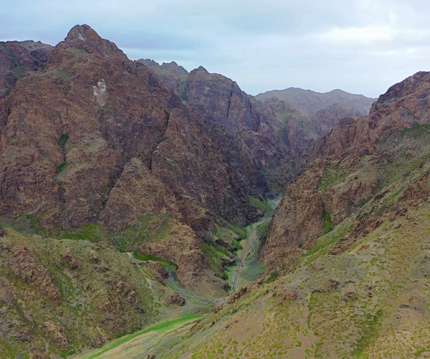 activity_detail_image