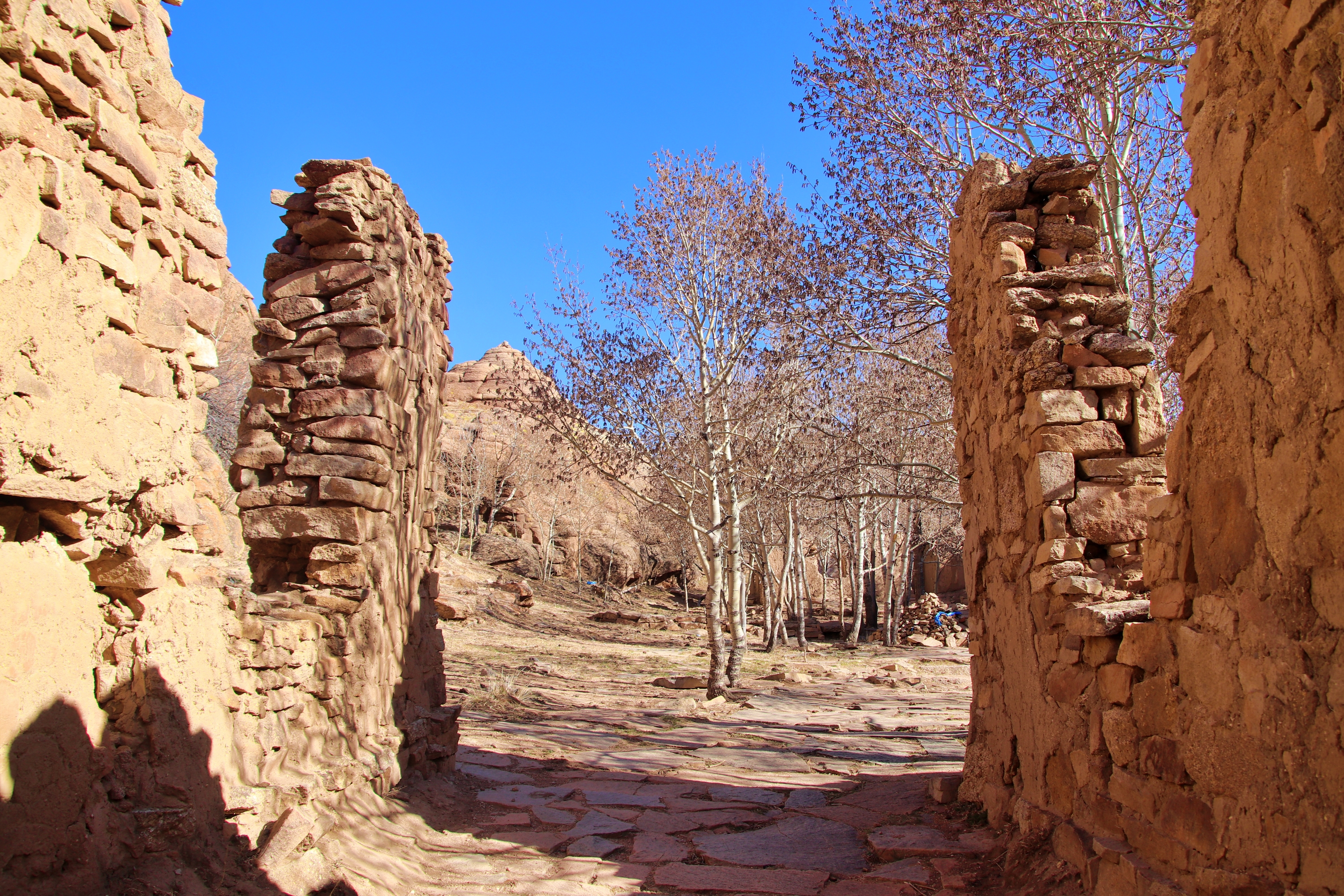 [루나투어] [4박5일] 몽골 고비 사막 투어