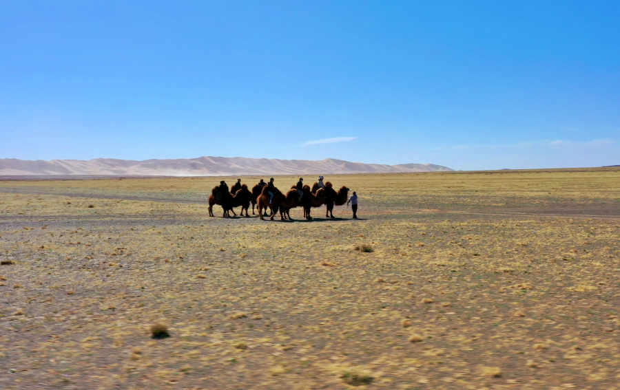 activity_detail_image