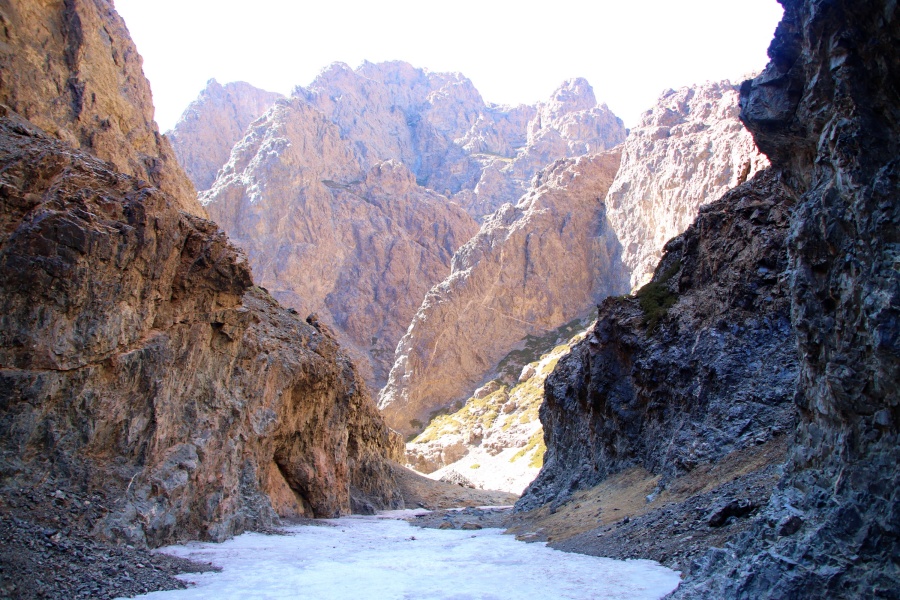 activity_detail_image