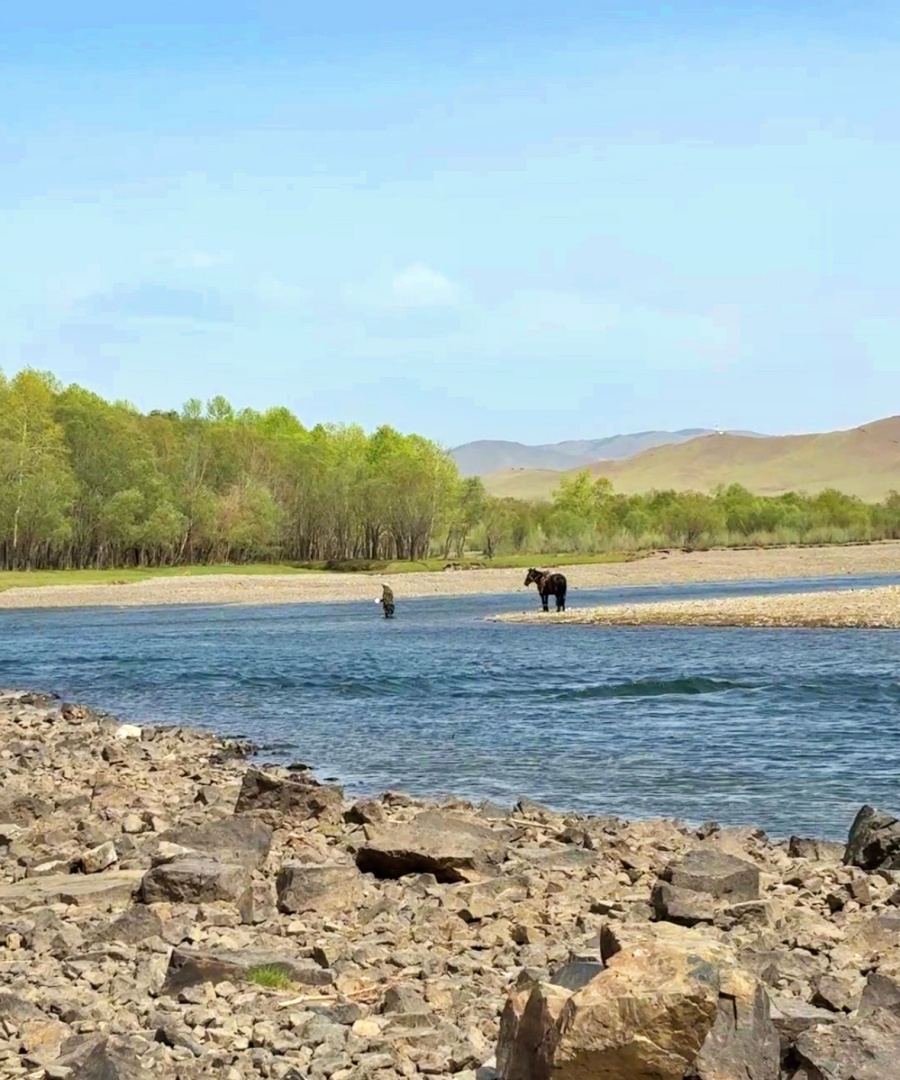 [루나투어] [1박2일] 몽골 테를지 국립공원 투어