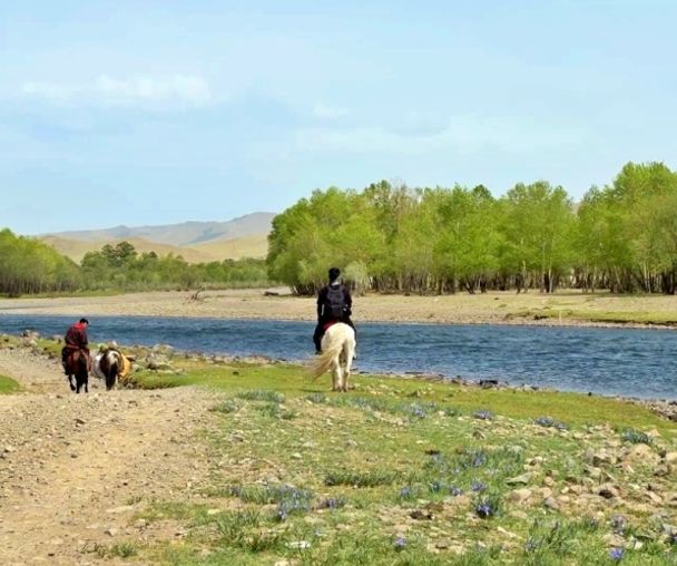 activity_detail_image