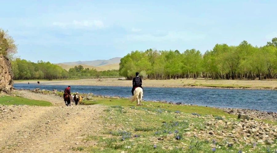 [루나투어] [1박2일] 몽골 테를지 국립공원 투어