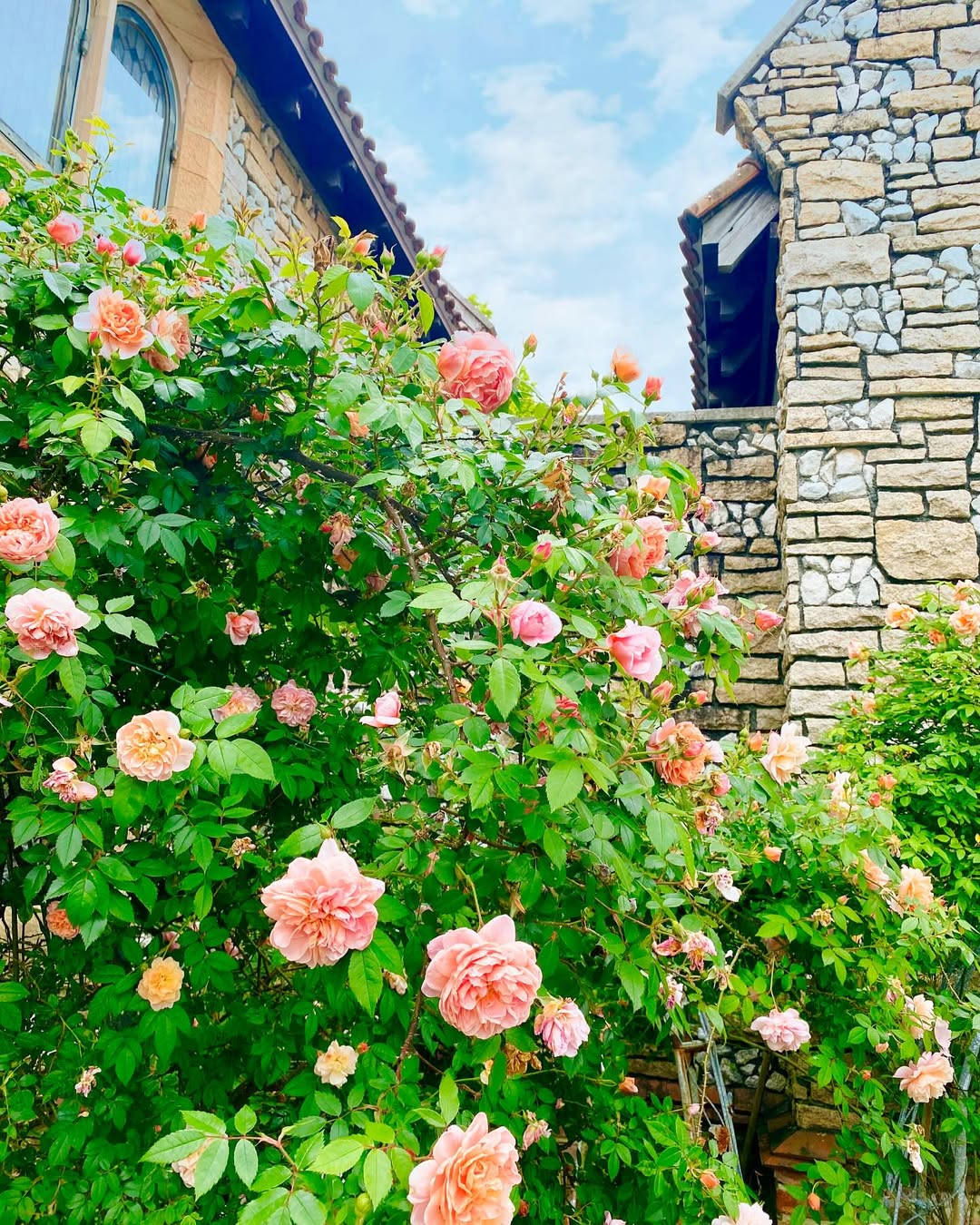 Stained Glass Museum Shizuoka Ticket