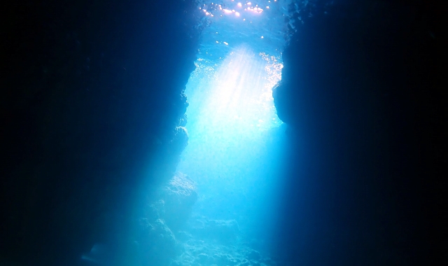 activity_detail_image