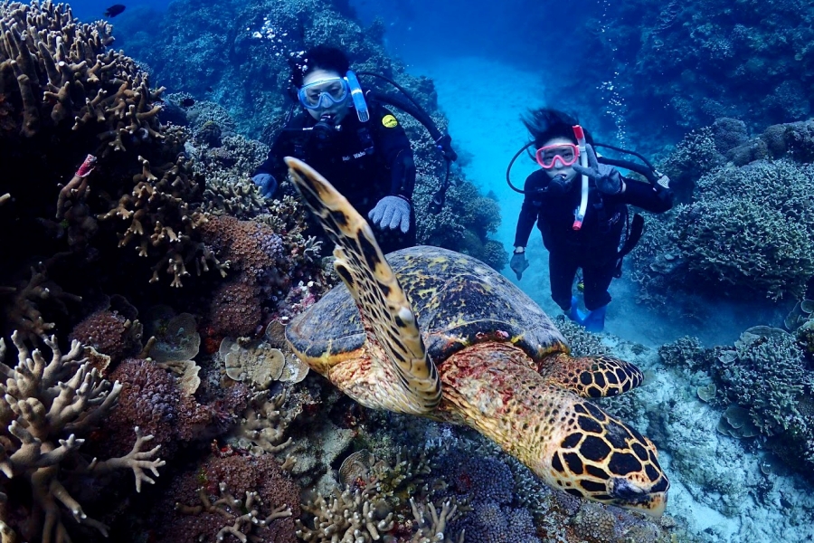 activity_detail_image