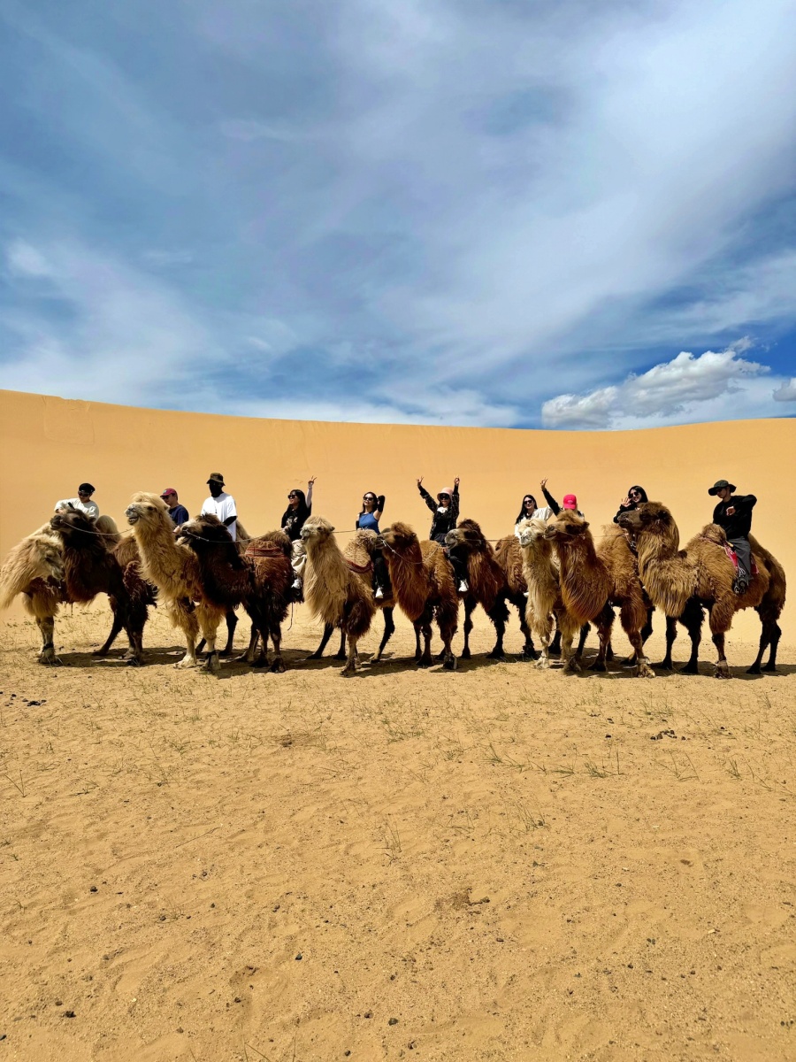 [루나투어] [2박3일] 몽골 중부 테를지 국립공원 투어