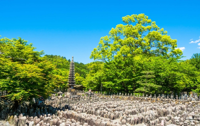 From Osaka: Katsuo-ji Temple, Nenbutsu-ji Temple, Arashiyama 1 Day tour