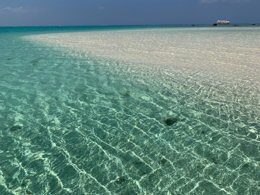 activity_detail_image