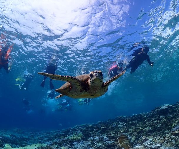 activity_detail_image