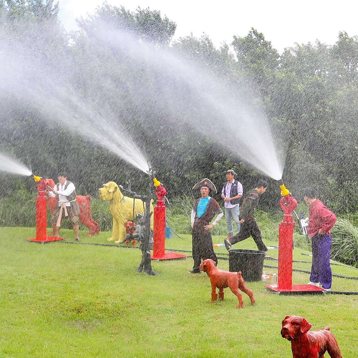 activity_detail_image