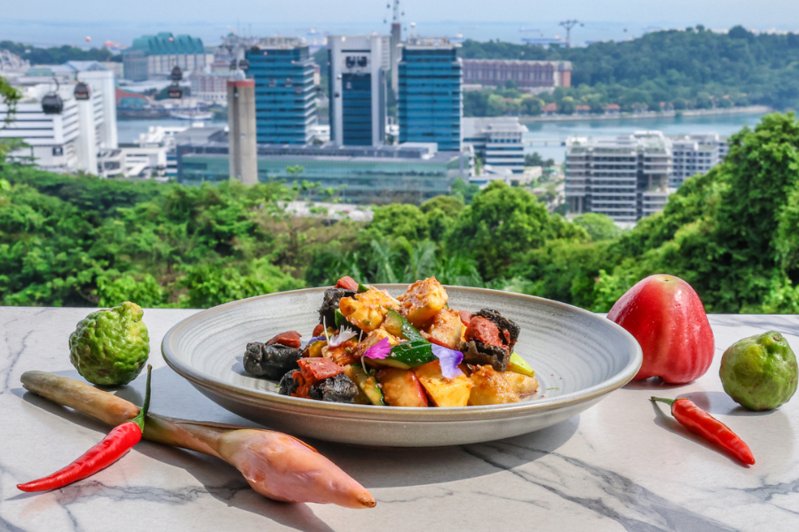 싱가포르 케이블카 + 아보라 카페 식사 바우처