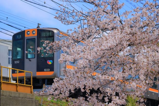 Osaka/Hyogo Port Liner + Hanshin Railway 24-Hour Pass