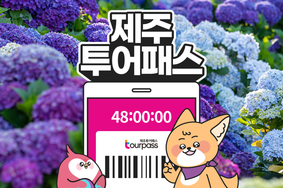 제주투어패스 프리패스 자유이용권