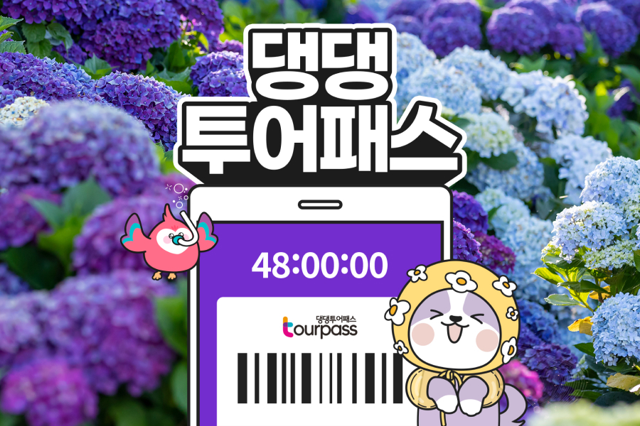 제주 댕댕투어패스 자유이용권 (24시간 / 48시간)