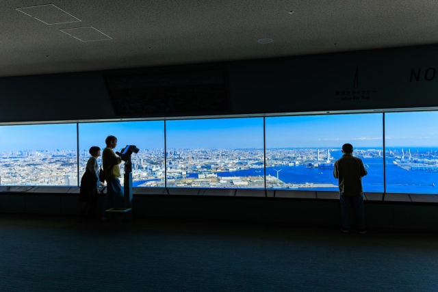 Tokyo: Kamakura Enoden & Yokohama Night View Day Tour (Enoden Ticket Included)