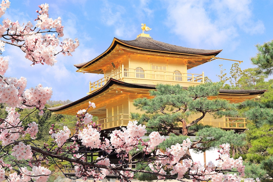 [여행한그릇]  관서 지방 단독 맞춤 여행 (오사카, 교토, 고베, 나라 등)