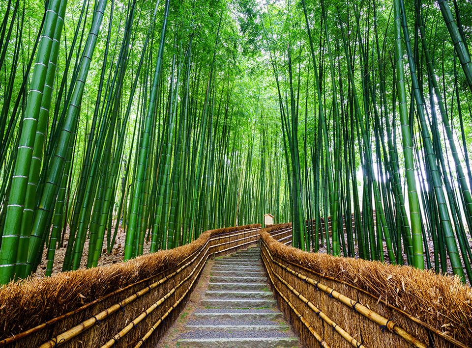[여행한그릇]  관서 지방 단독 맞춤 여행 (오사카, 교토, 고베, 나라 등)