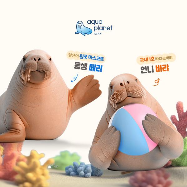 경기 고양 아쿠아플라넷 일산 입장권