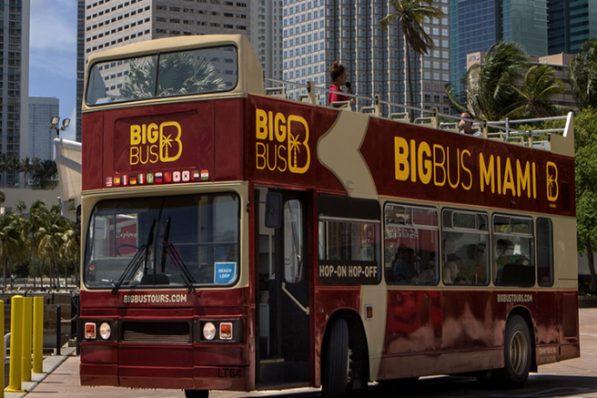 Miami Big Bus City Tour (24-Hour/48-Hour/Everglades/Night Tour)