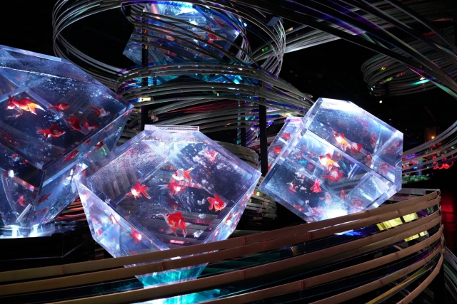 activity_detail_image