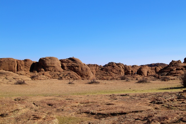 [루나투어] [7박8일] 몽골 고비 사막, 차강소브라가, 욜링암, 홍고르엘스 투어