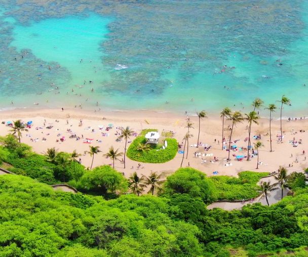 activity_detail_image