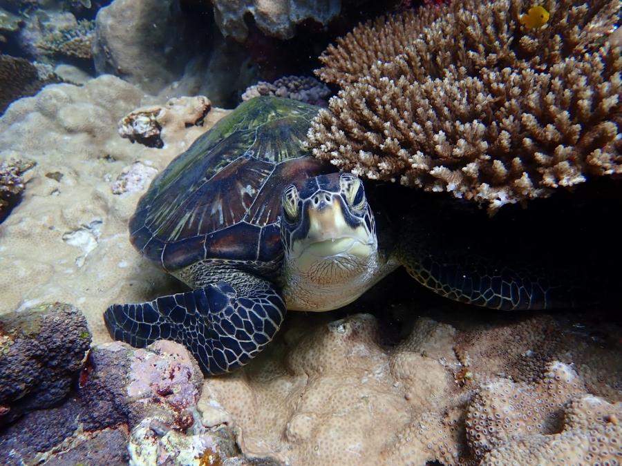 activity_detail_image
