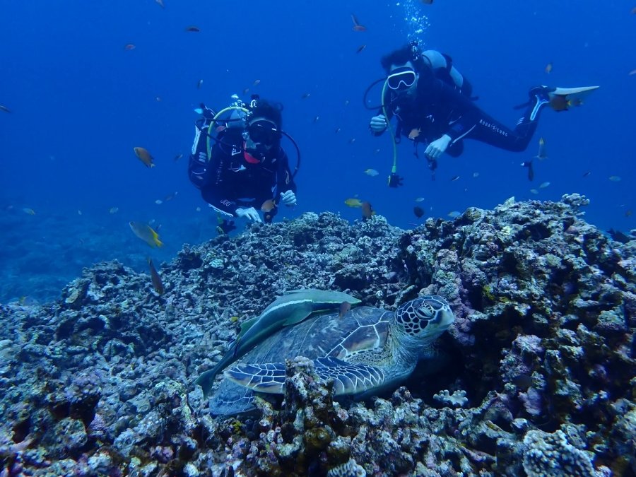 Try an Introduction Diving Course in Ishigaki Island