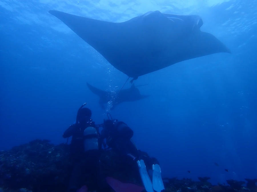 Try an Introduction Diving Course in Ishigaki Island