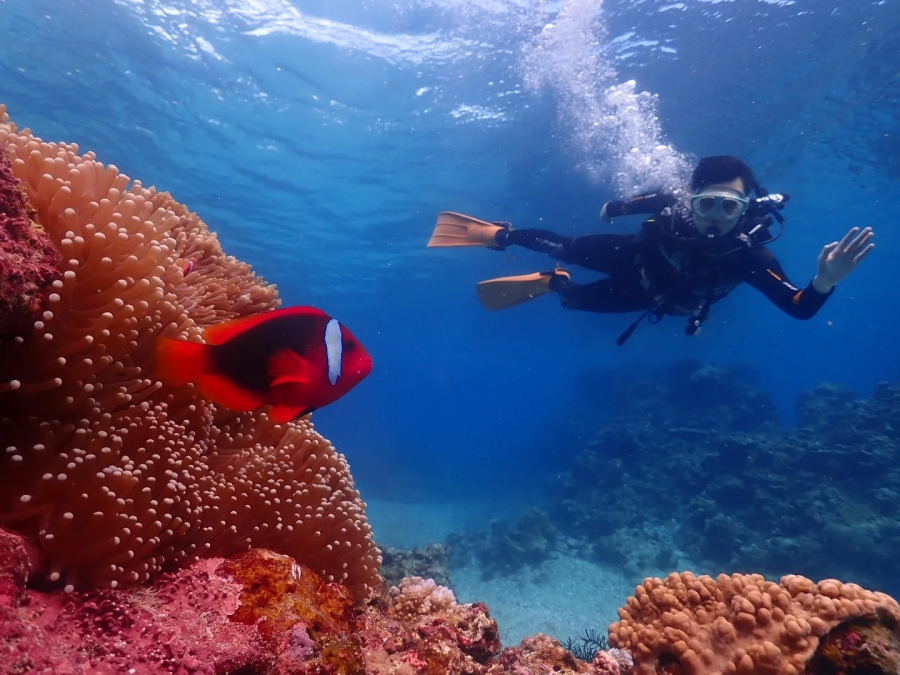 Try an Introduction Diving Course in Ishigaki Island