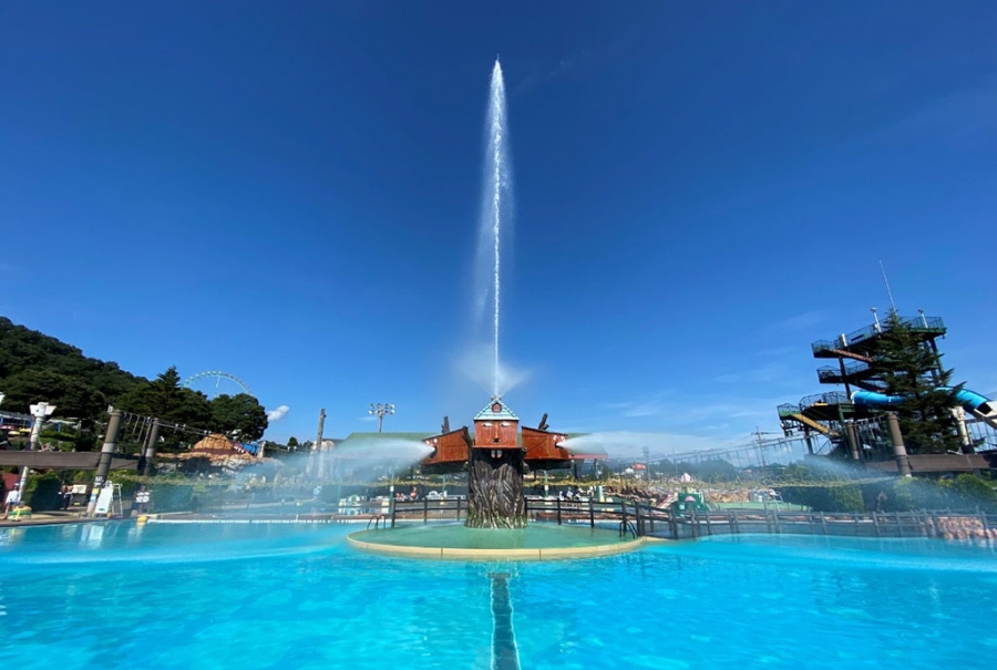 東京サマーランド 1Dayパス 入場チケット 屋内プール＋遊園地