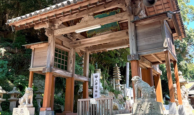 [1박2일] 부산 출발: 대마도 팬스타 쓰시마링크호 크루즈 여행 (이즈시마 뷰 호텔)