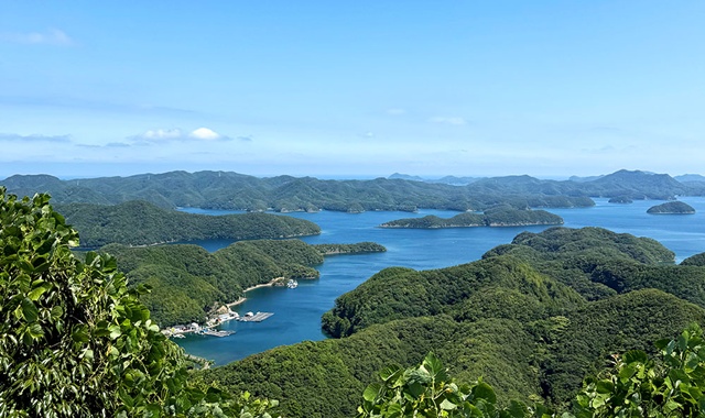 [1박2일] 부산 출발: 대마도 팬스타 쓰시마링크호 크루즈 여행 (이즈시마 뷰 호텔)